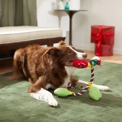 Frisco Holiday Reindeer Plush With Rope Squeaky Dog Toy & Frisco Holiday Lights Plush With Rope Squeaky Dog Toy -Frisco 986134 PT8. AC SS1800 V1698258405