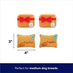 Frisco Holiday Hot Cocoa Hide & Seek Puzzle Plush Squeaky Dog Toy & Frisco Holiday North Pole Mailbox Hide & Seek Puzzle Plush Squeaky Dog Toy -Frisco 986166 PT7. AC SS1800 V1698258463