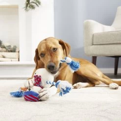 Frisco Holiday Snowman Plush With Rope Squeaky Dog Toy & Frisco Holiday Reindeer Plush With Rope Squeaky Dog Toy -Frisco 986174 PT4. AC SS1800 V1698258345