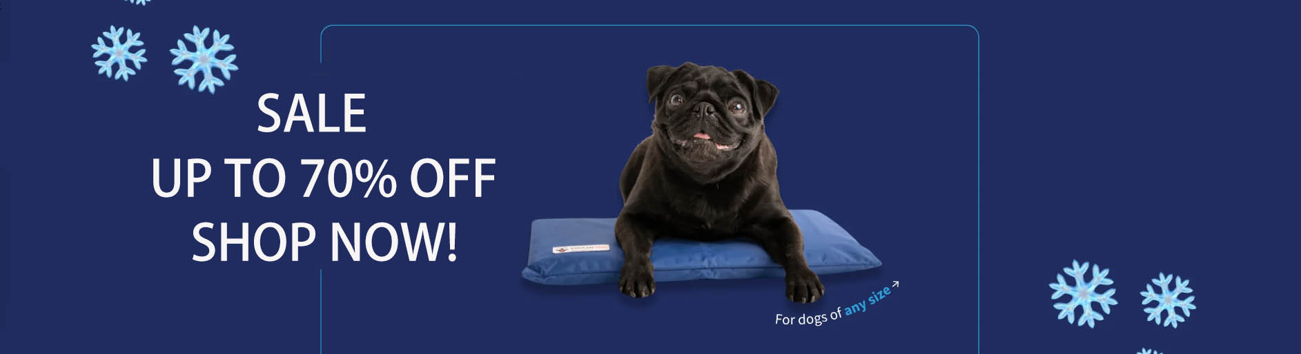 Frisco -Frisco GKGK 2